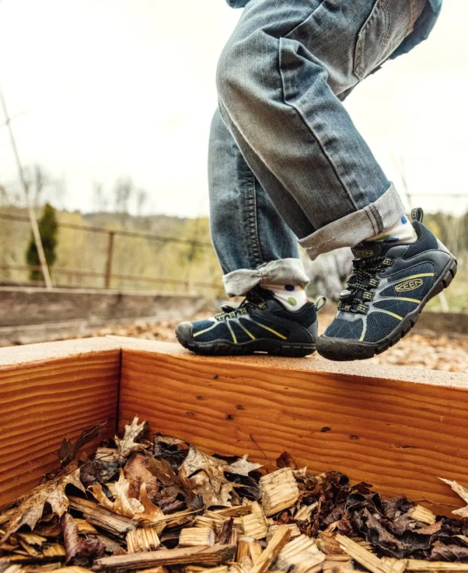Kids KEEN Shoes<Little Kids' Chandler 2 Cnx Sneaker | Black Iris/Evening Primrose