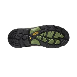 Men KEEN Work Boots & Shoes<Men'S Detroit Xt Waterproof Boot (Steel Toe) | Cascade Brown/Bronze Green