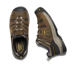 Men KEEN Work Boots & Shoes<Men'S Flint Ii (Soft Toe) | Cascade Brown/Golden Rod