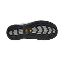 Men KEEN Work Boots & Shoes<Men'S Flint Ii (Steel Toe) | Gargoyle/Paloma