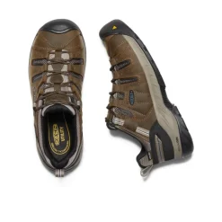 Men KEEN Work Boots & Shoes<Men'S Flint Ii Waterproof (Steel Toe) | Cascade Brown/Orion Blue