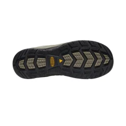Men KEEN Work Boots & Shoes<Men'S Flint Ii Waterproof (Steel Toe) | Cascade Brown/Orion Blue
