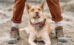 Women KEEN Boots<Women'S Ridge Flex Waterproof Boot | Timberwolf/Brick Dust